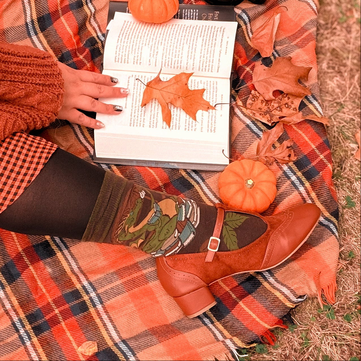 Book Dragon Socks
