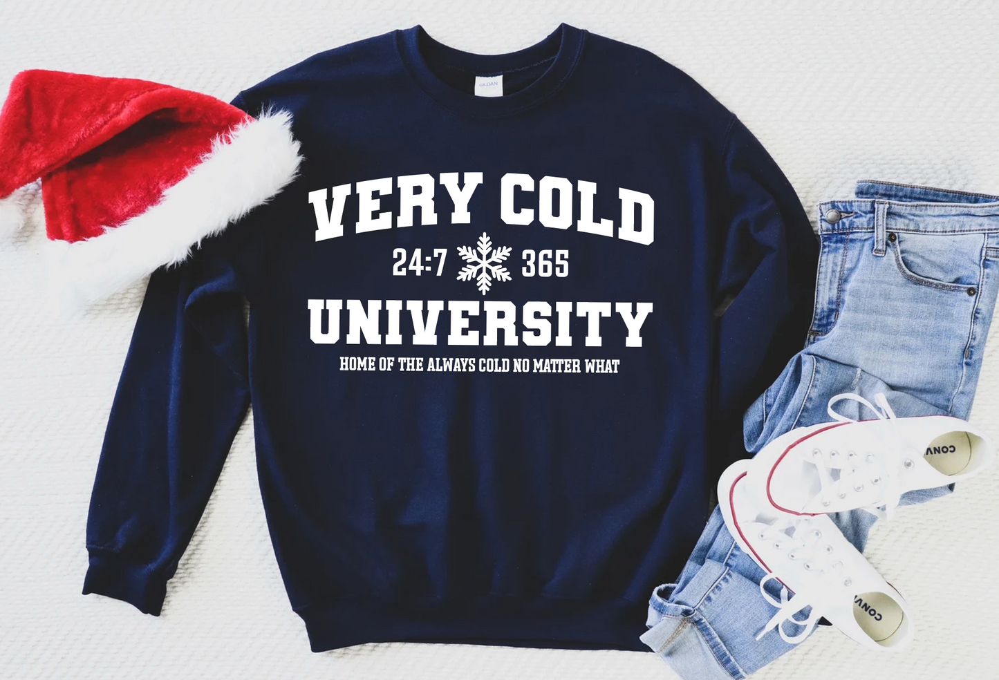 Very Cold University